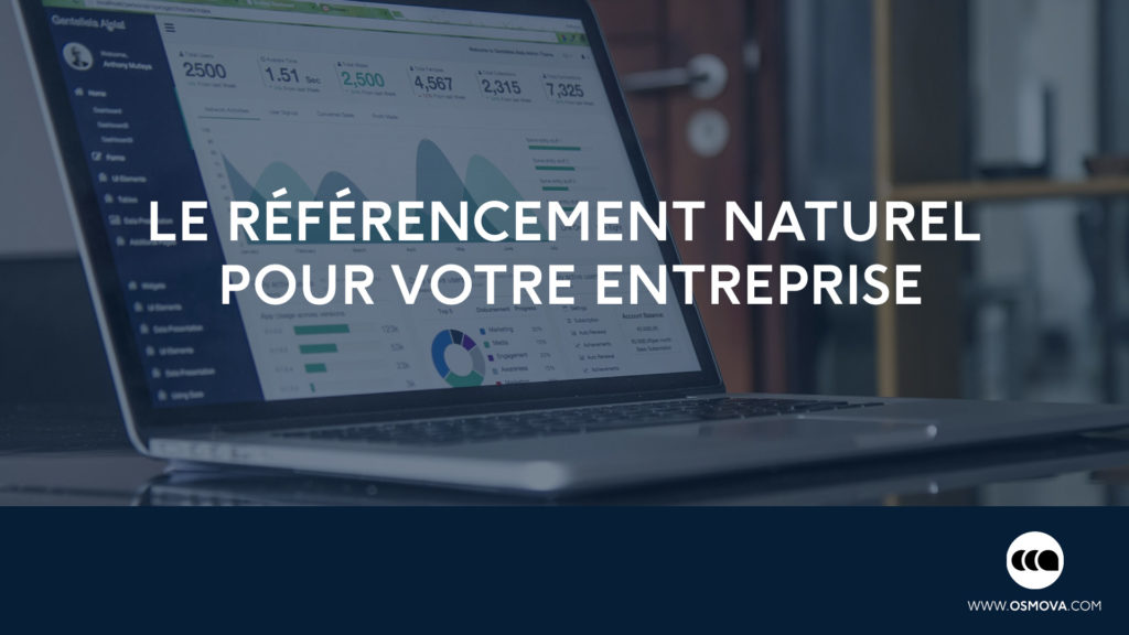référencement naturel