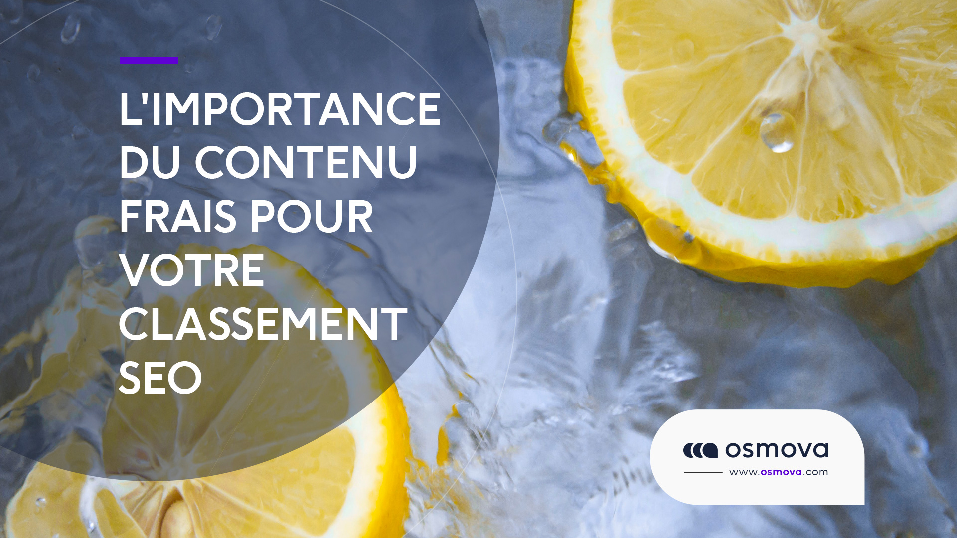 L’importance du contenu frais pour votre classement SEO