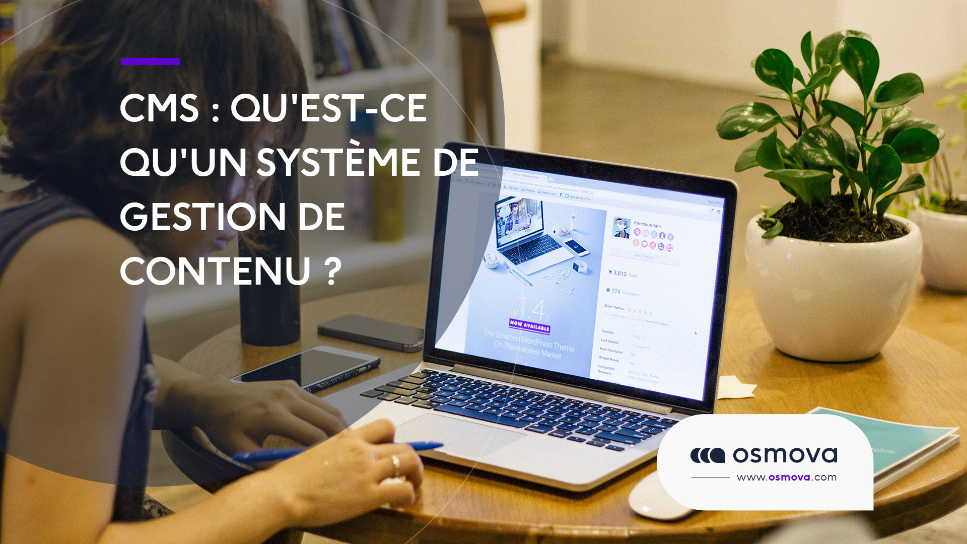 CMS : Qu’est-ce qu’un système de gestion de contenu ?