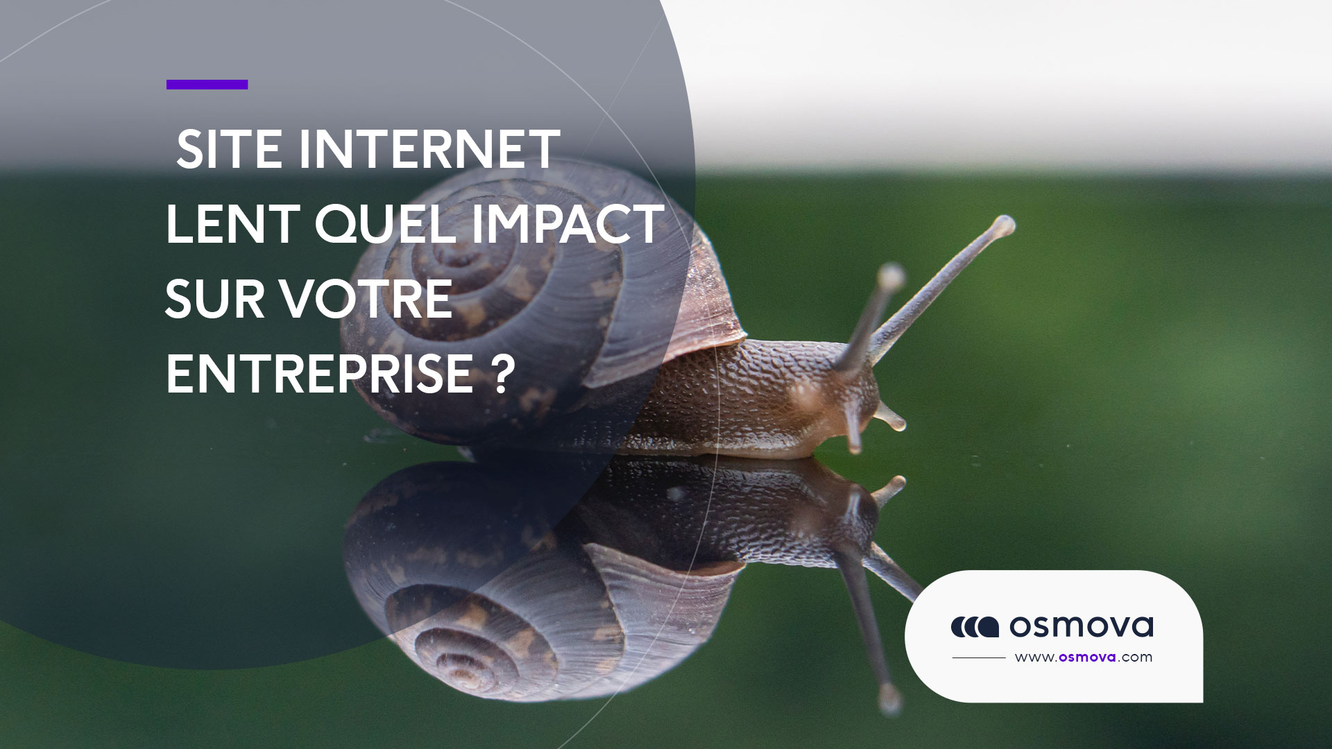 Site internet lent : quel impact sur votre entreprise ?