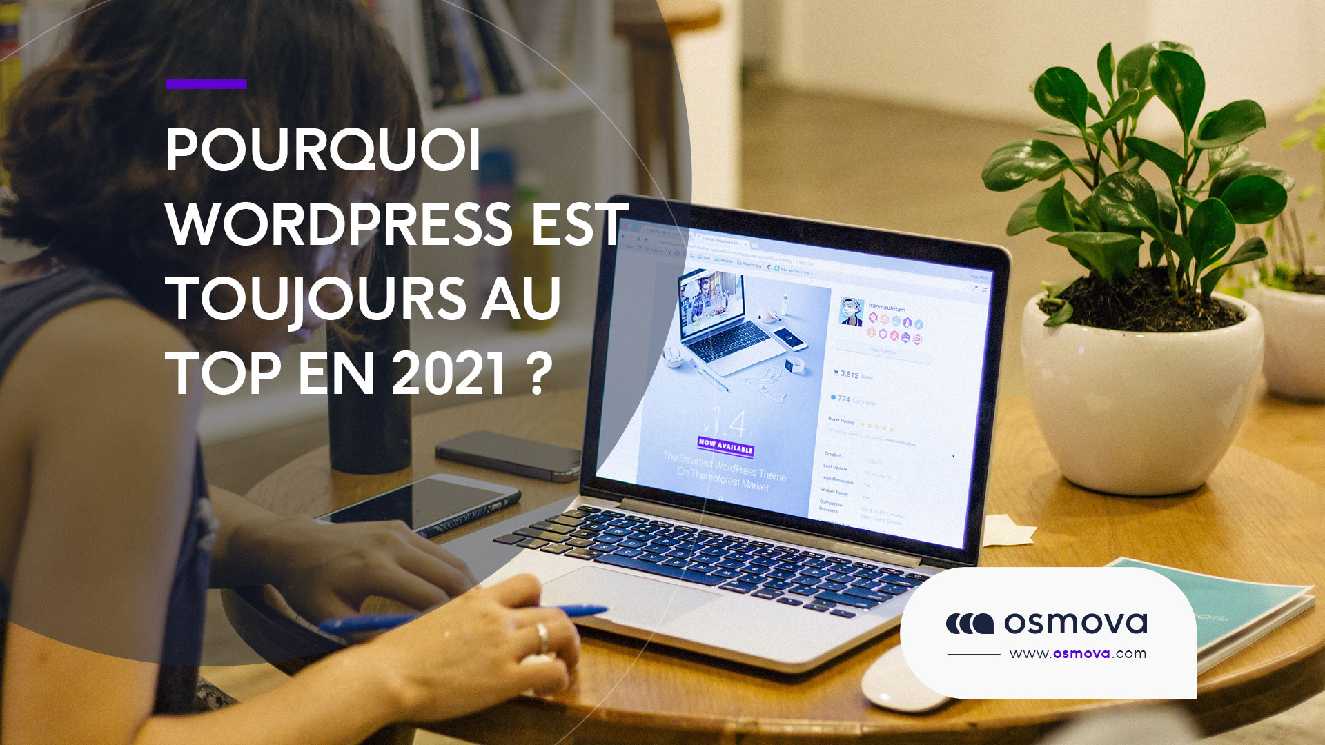 Conception de site internet : Pourquoi WordPress en 2023 ?