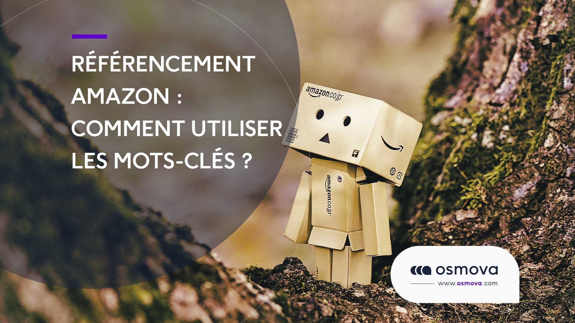 Référencement Amazon : Comment utiliser les mots-clés ?