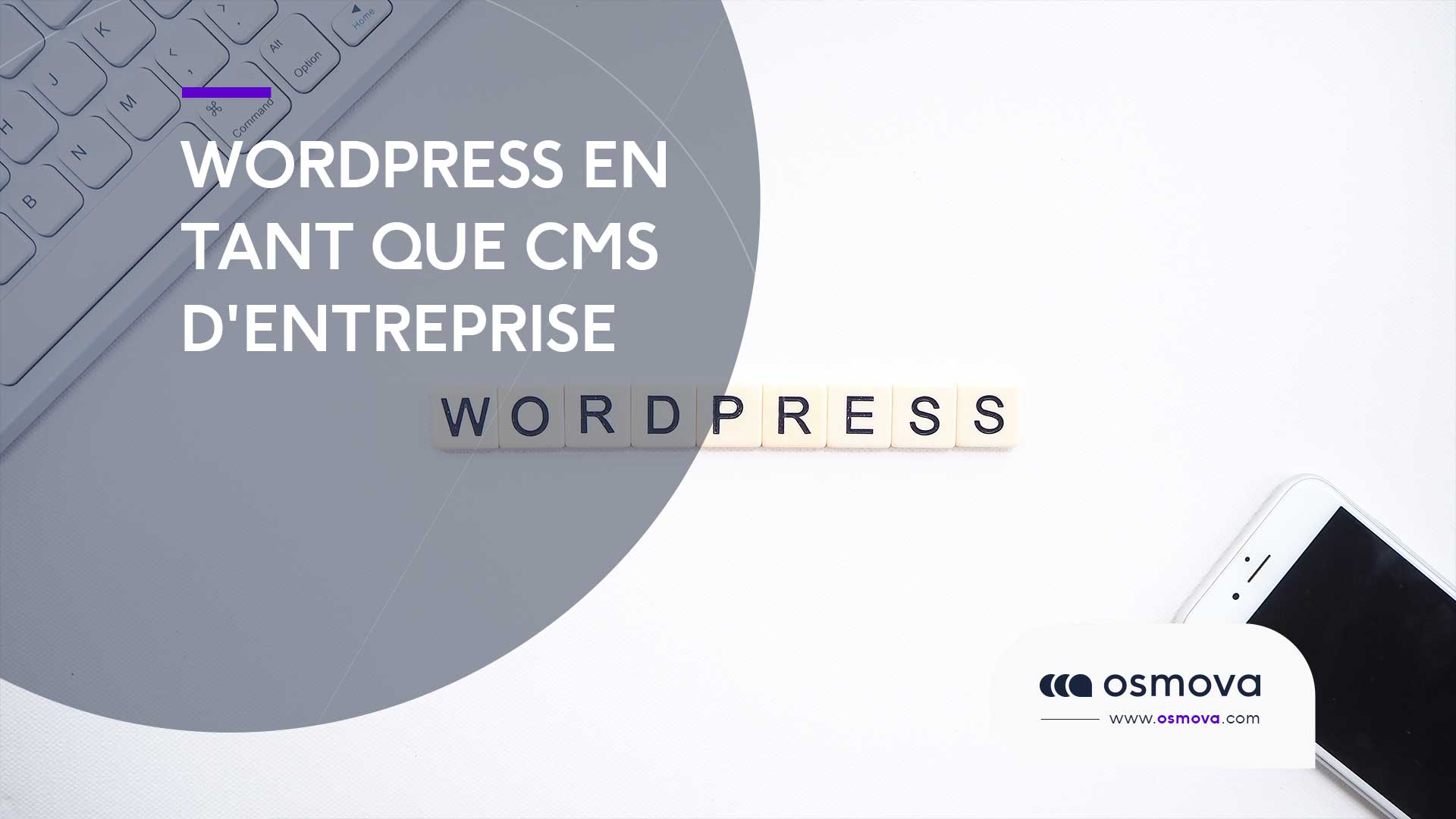 CMS d’entreprise WordPress vous aidera à gagner !