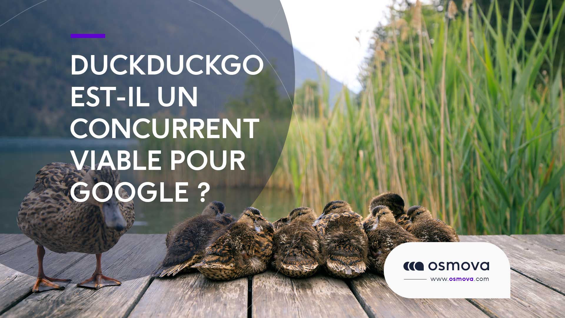 DuckDuckGo est-il un concurrent viable pour Google ?