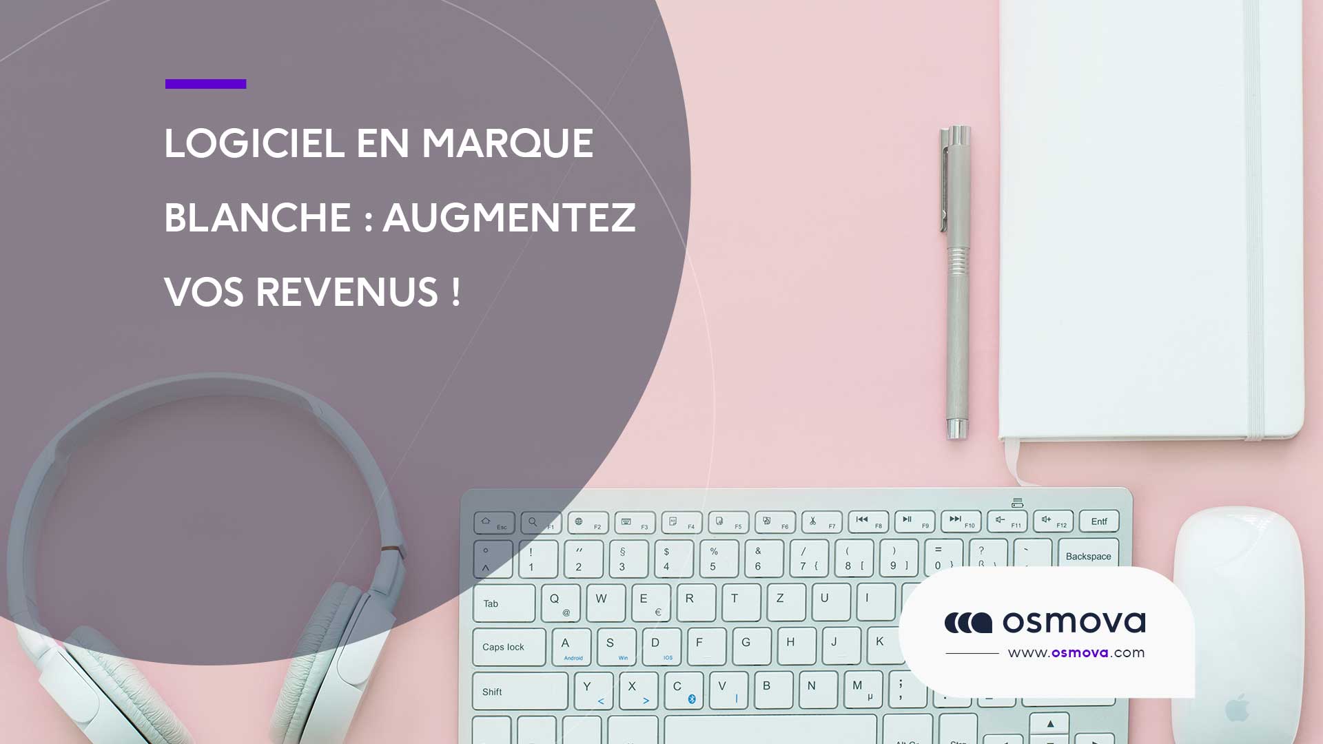 Logiciels en marque blanche : Augmentez vos revenus en  2023