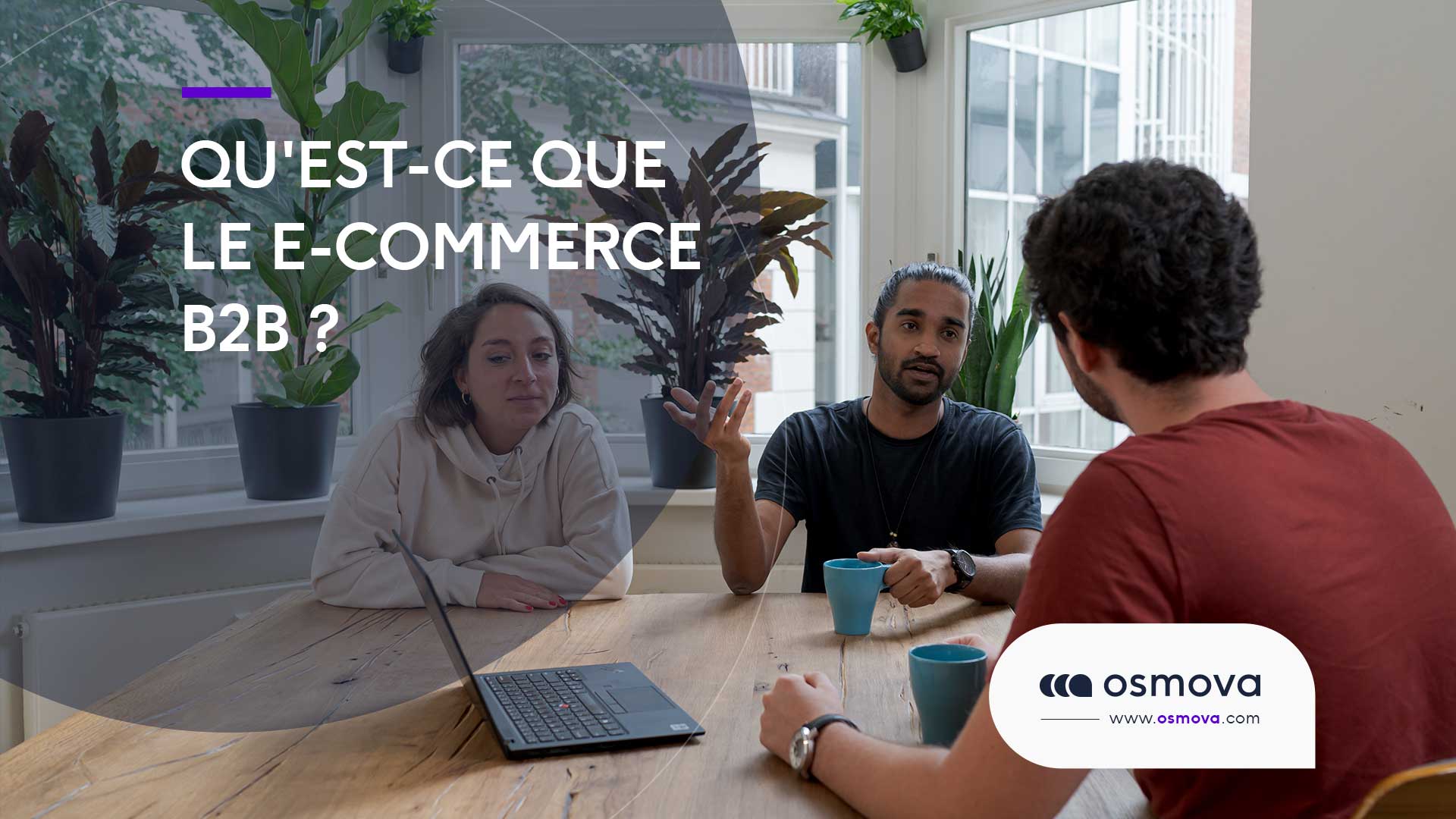 E-commerce B2B