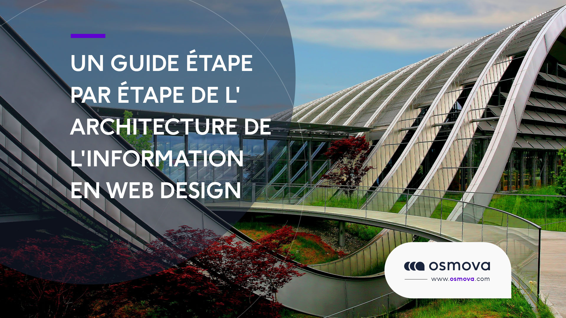 Un guide étape par étape de l’architecture de l’information en web design