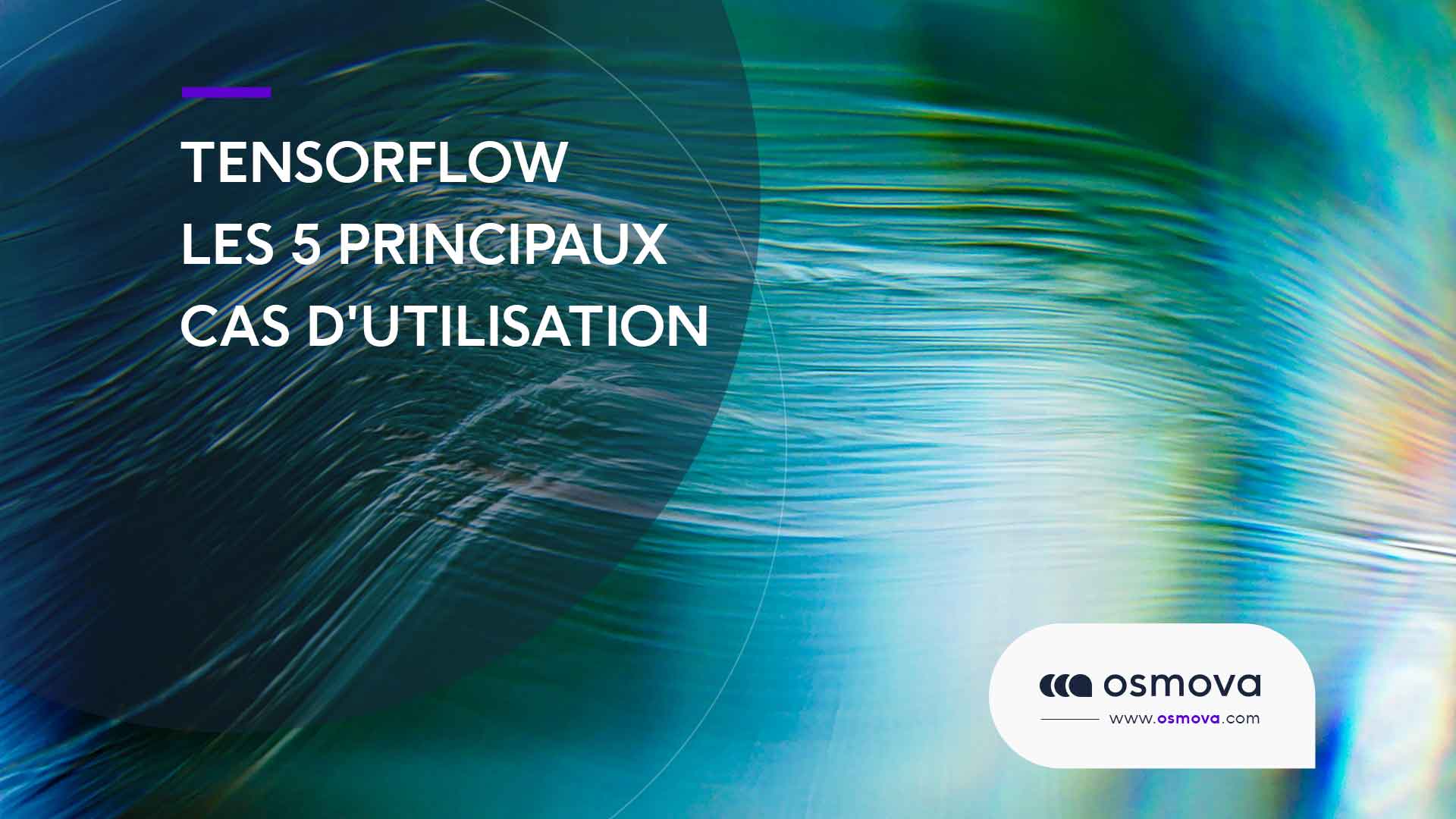Quelle utilisation de TensorFlow n°1 du Deep Learning ?