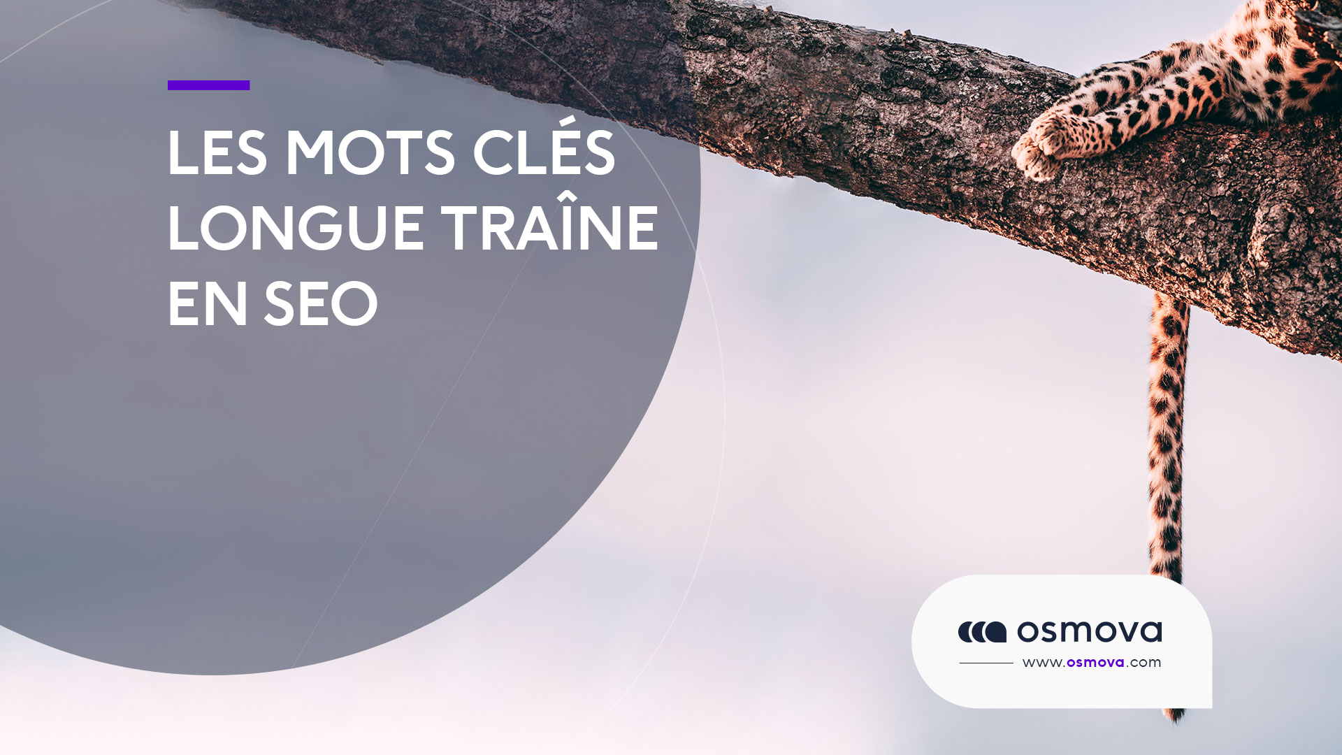 Les mots clés longue traîne en SEO