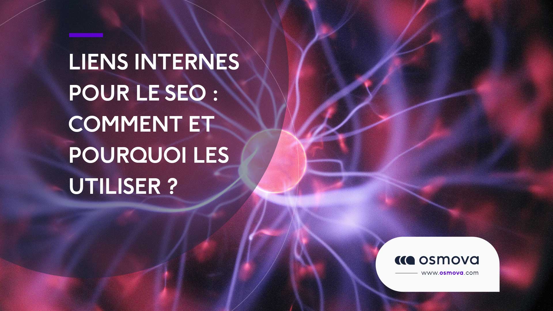 Liens internes pour le référencement : Comment et pourquoi les utiliser ?